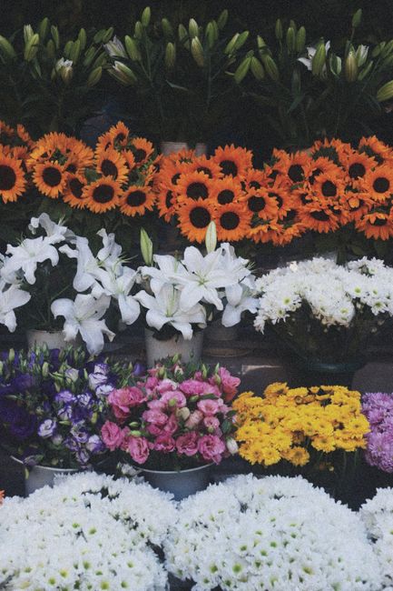 A display of fresh floral arrangements featuring vibrant orange sunflowers, white lilies, and clusters of white chrysanthemums, arranged in black pots and containers. The flowers are neatly organized 